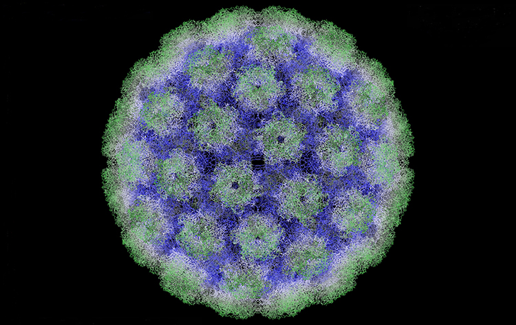 HPV